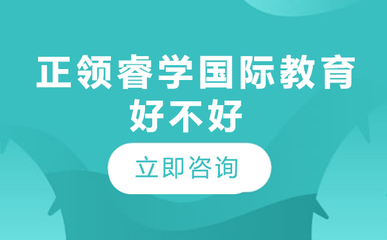 北京正領(lǐng)睿學(xué)國(guó)際教育 以創(chuàng)意策劃服務(wù)賦能未來教育
